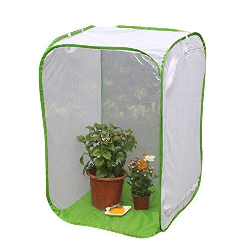 Beverl Foldable Insect Butterfly Habitat Cage Seedling Plant Light Transmission Net Tent Greenhouse