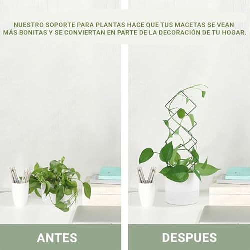 Catálogo de Celosías - 5 favoritos. 3 Imagen adicional