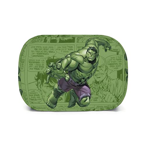 Mnbvcx Green Insulated Lunch Bag Comics Lunch Box Portable Lunch Kit For Men Women Travel Picnic Beach #TOP4