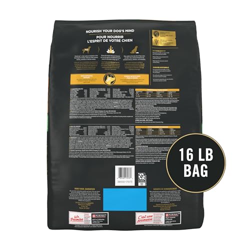 Purina Pro Plan Small Breed Senior Dog Food Bright Mind Seven Plus Chicken and Rice Formula - 16 Pound (Pack of 1)