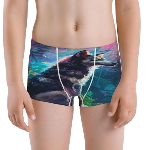 Boys' Cotton Boxer Brief Soft Underwear-Colorful Plant Wolf