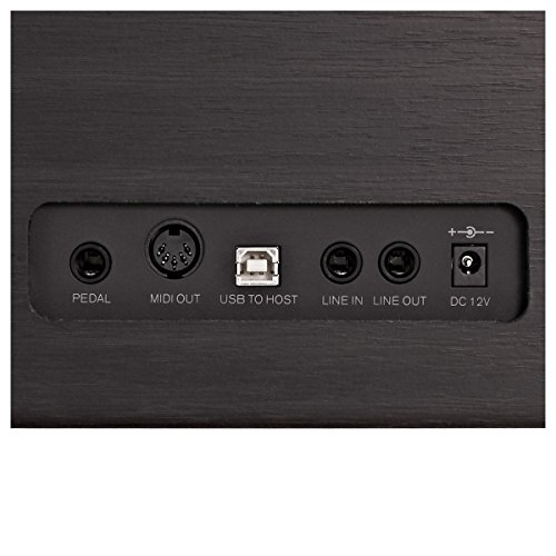 DP-6 Pianoforte Digitale di Gear4music