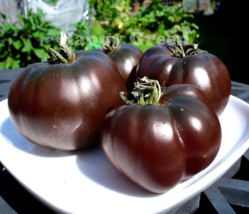 Black Tomato - 30 Seeds + Plant tag + Freebie - Black Prince - Tomato Seeds - Heirloom