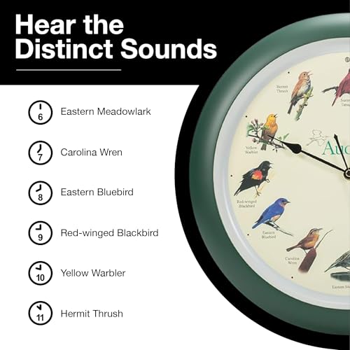 Mark Feldstein, Audubon Singing Bird Wall Clock, 13 Inch, Green