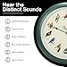 Mark Feldstein, Audubon Singing Bird Wall Clock, 13 Inch, Green