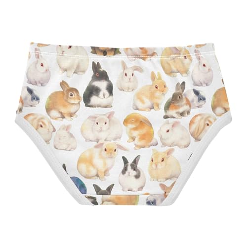 Wusikd Bunnies Colors Girls' Underwear Cotton Girls Briefs Soft Toddler Underwear 2T2