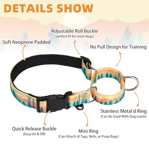 Image of Martingale Collar for Dogs for Small Medium Large Dogs, Soft Padded Nylon No Pull Dog Collar with Buckle, Adjustable No Slip Heavy Duty Durable Puppy Training Collar for Boys Girls, Orange M