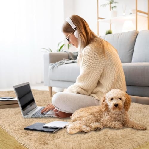 Image of 1.5x3 feet Soft Runner Rug for Living Room and Bedroom, Modern Indoor Floor Carpet with Non-Slip Backing, Comfortable Decorative Home Decor Rug, Easy Clean & Durable- (Beige, Rectangular)