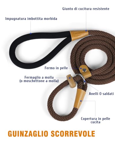 Image of 2 Pack Dog Leash Slip Lead Braided Rope Pet Training Loop Leashes 6ft 8ft
