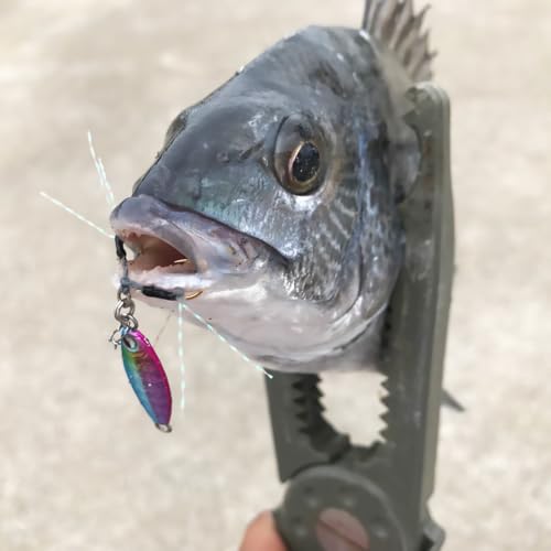 RUDIE’S（ルーディーズ）魚子メタル（ぎょしめたる） (キラキラベイト, 1.5g) 6枚目