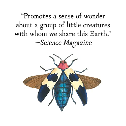 A Beetle Is Shy (Sylvia Long) - Image 5