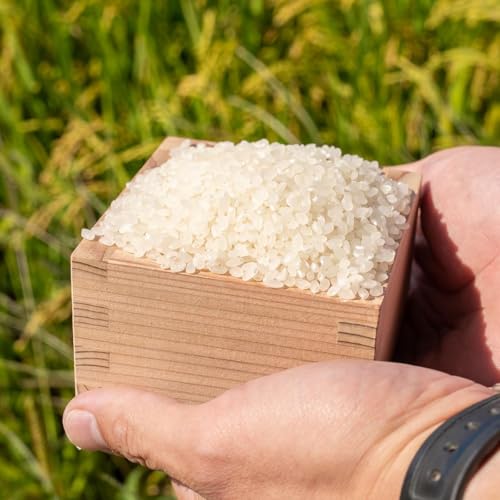 山形県鶴岡市 無洗米 はえぬき 5kg(5kg×1袋)[令和7年産]K-730 馬町さくらファーム | 米 お米 コメ こめ 5キロ ご飯 ごはん ブランド米 米どころ 庄内米 国産 美味しい お取り寄せ 農家直送 お弁当 おにぎり 人気 返礼品