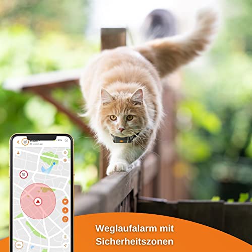 Weenect XS für Katzen - NEU Mini GPS-Tracker für Katzen | GPS-Tracking in Echtzeit | Ohne Distanzlimit | Kleinstes Modell auf dem Markt | Halsband inkludiert | Abonnement