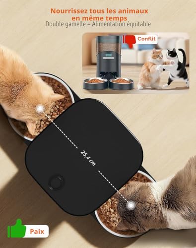 Distributeur croquettes chat automatique 3.5L programmable avec minuterie