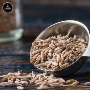 Organic Cumin Seed Powder By Naturevibe Botanicals, 1 Lb (Cuminum Cyminum L.) #TOP2