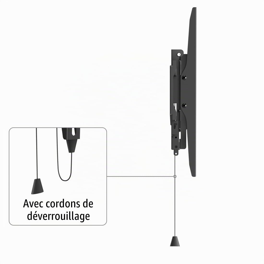 Hama Support Mural TV Dispositif Antivol Garantie 10ans (TV 32" à 65", 81 à 165cm 50Kg Max, Idéal espaces publics, Compatible VESA, Chevilles Fischer founis, Système Easy Fix) Noir