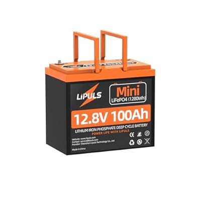12V 100Ah Mini LiFePO4 Battery, Group 24 Lithium Battery, Max.1280Wh, Built-in 100A BMS, UP to 15000 Cycles, for RV, Camping, Solar System, Off-Grid