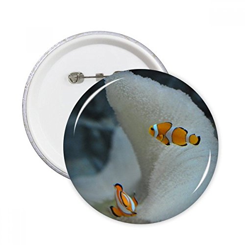 Poisson clown badge océan pour customiser vos vêtements et sacs de voyage