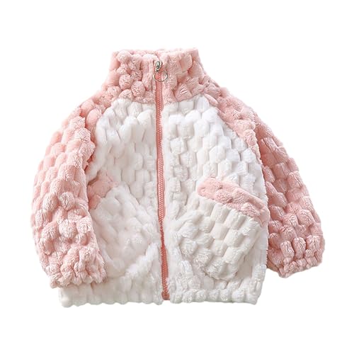 Jacket Toddler Little Boy Big Boy Colourful Collar Zip Long Sleeved Jacket With Pockets Coats for Boys