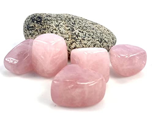 Rose Quartz Crystal Tumbled Stone, Large Natural Tumbled Stones and Crystals Pink Love Rocks for Healing, 1 inch - Set of 5