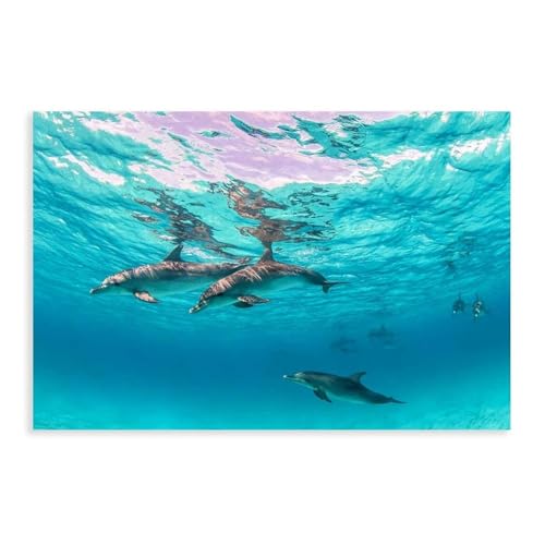 Impression sur toile dauphin de qualité supérieure, art mural tropical 30x45 cm