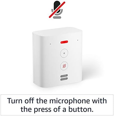 Echo Flex  Voice control smart home devices with Alexa