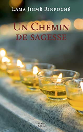 Télécharger Un chemin de sagesse PDF