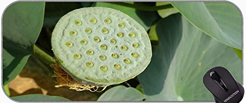 YENDOSTEEN Tapis de souris de jeu XXL ornemental avec base antidérapante et motif fleur de lotus