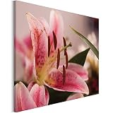 Revolio 40x30 cm Impression sur Toile Murale Tableau Art Peinture Image Motif Moderne Décoration pour Le Salon Intérieur Photo - la Nature Fleur lis Rose Marron