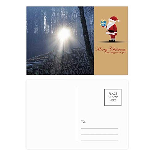 Cartes postales forêt paysage forestier foncé Science Nature lot de 20 pour déco