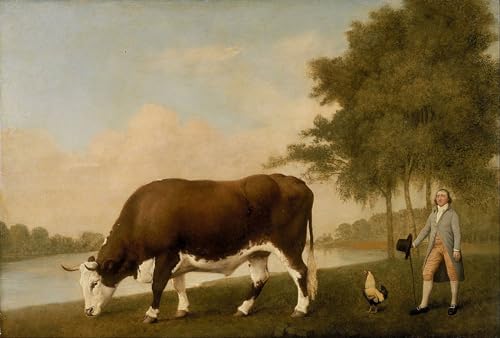Images peintures le Lincolnshire George Stubbs décoration murale salon salon moderne 60x90