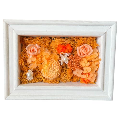 L[t(Q-FLA) AW XNGAt[ vU[uht[ zCg IW ̓ Mtg 蕨 813221