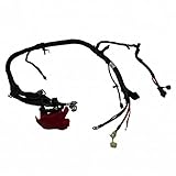 Motorcraft - Cable Asy - Battery (P) (WC96347)