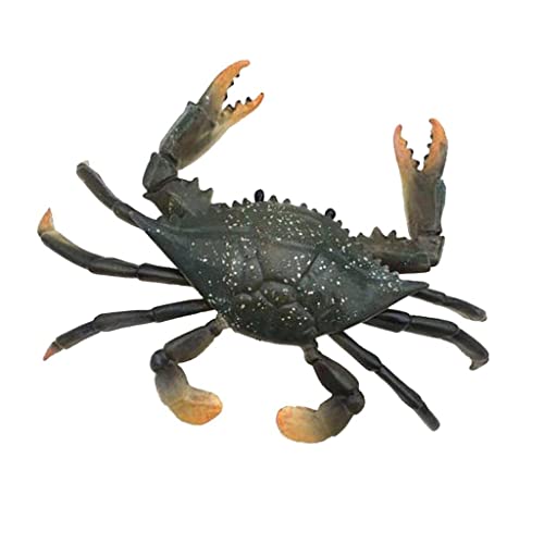 Dualoai tBMA ͌^ nhyCg K[f~j`A CeA PVCf qRNV p Be p[eB[ɓKp, Jj