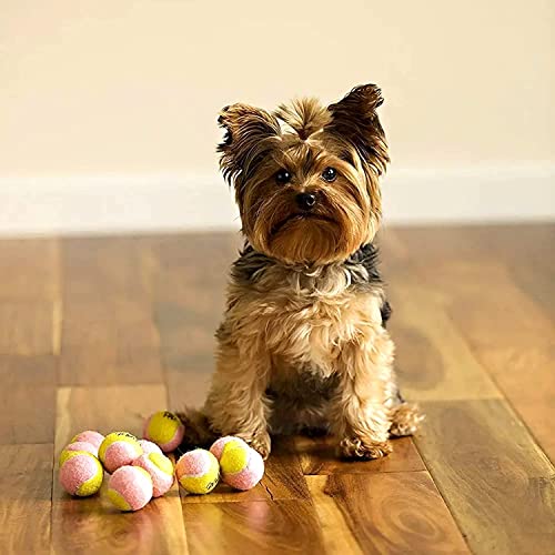 Midlee X-Small Dog Tennis Balls 1.5" Pack Of 12 (Pink/Yellow, 1.5 Inch) #TOP2