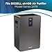 Replacement Particle and Pre Filter for the BISSELL air400, 2521