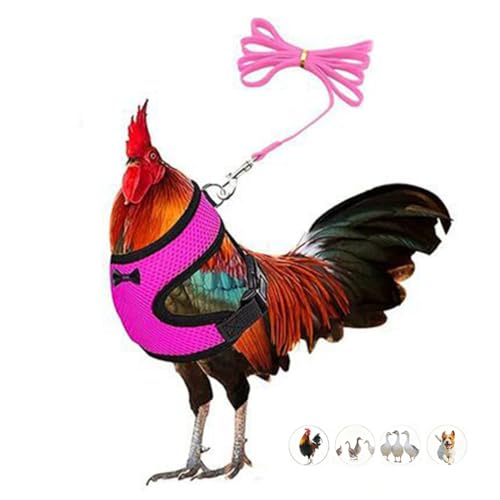 Chicken Leash Duck Harness and Leash Set Adjustment Mesh Pink S