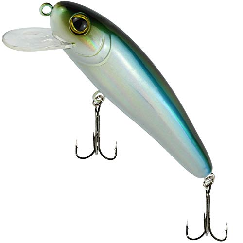 Fishing Tackle Max Unisex – Erwachsene 10C8900154C10 SEIKA Pr-Akita-Wobbler Farbe: Bleak Länge: 11,0cm Programm von FTM, Bunt, Normal