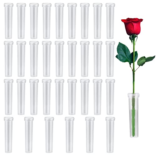 XQMMGO Lot De 30 Tubes à Eau Pour Fleurs – Tubes à Essai Plastique 7,5 × 1 Cm – Idéal Fleuristes, Restaurants, Cafés