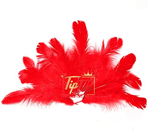Image of Natural Dyed Feathers 10 cm (80 pieces) (Dark Red)