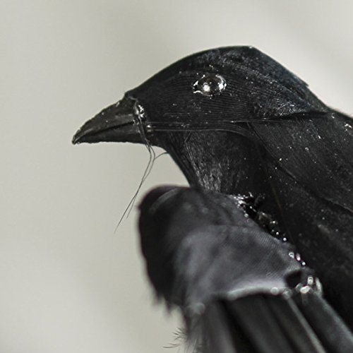 Factory Direct Craft Black Feathered Flying Artificial Raven with Attached Wire on Feet