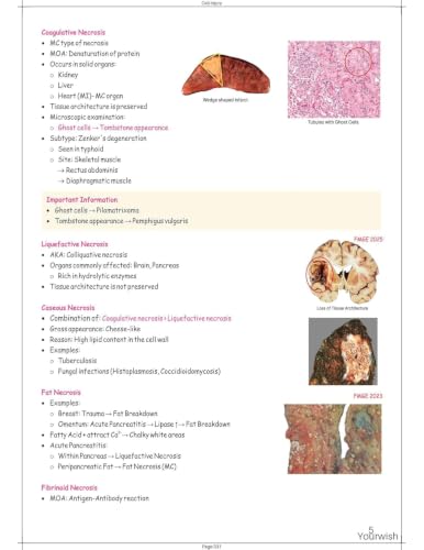 Image of PREP RAPID REVISON ED XI ALL 19 SUBJECT HD PRINT 6 VOL BOOK