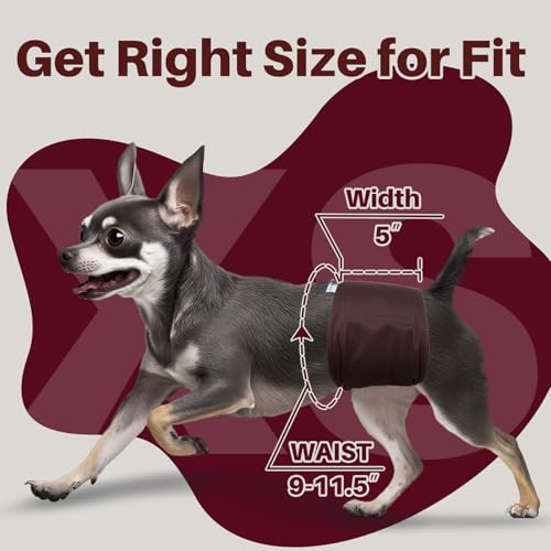 Pet Soft Dog Diapers Male, 5 Pack Male Dog Belly Bands, High Absorbing Washable Males Dog Wraps for Doggie Puppy(Space, XS)