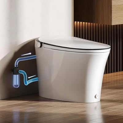 DeerValley Smart Toilet Auto Open & Close One Piece Tankless Toilet with Bidet Built in Auto Flush Warm Water Air Dryer Heated Seat Intelligent Water Filter for Modern Luxury Smart Home - DV-1S0019Pro