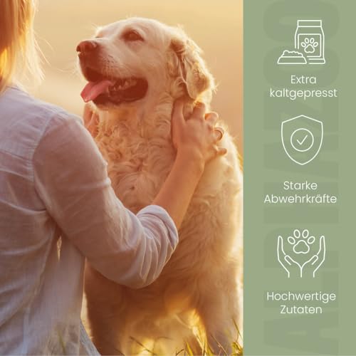 alphazoo Premium Nachtkerzenöl für Hunde 250ml – Kaltgepresst & 100% natürliches Futteröl, reich an Omega-6 & Omega-9 – Unterstützt glänzendes Fell & gesunde Haut, ideal bei Allergien