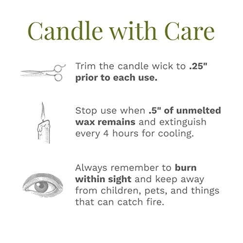 Candle-Lite Everyday Scented Balsam Forest 3-Wick Jar Candle, 10 Oz, Green #TOP7