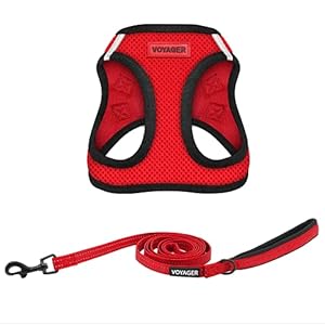 Voyager-Step-in-Air-All-Weather-Mesh-Harness-and-Reflective-5-ft-Dog-Leash-with-Neoprene-Handle-for-Small-Medium-and-Large-Breed-Puppies-by-Best-Pet-Supplies-Red-Base-M Harness and Reflective 5 ft Dog Leash