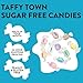Taffy Town Candies- Sugar Free Raspberry | Gourmet Taffy| Nougat-Style Candy| Soft & Delicious| Sumer Snack Treats| Party Good Candies| 2.5lbs