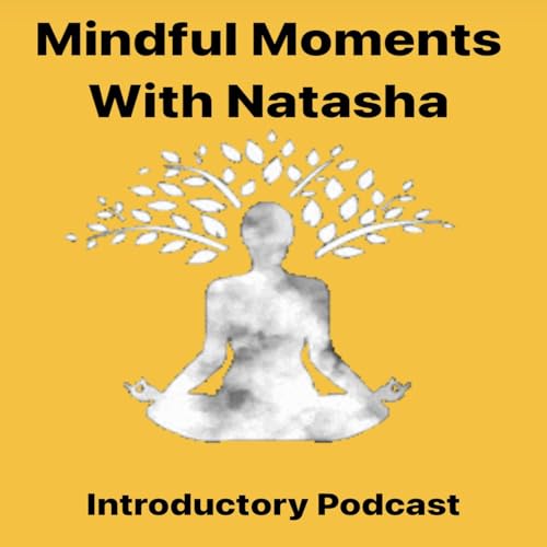 Mindful Moments With Natasha copertina
