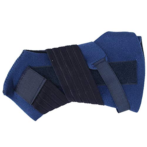 YYALYYON T|[gu[X ANeBuȑ̕ی KȌyʃfUC ekoh _炩f ^̔Ph~ (S)